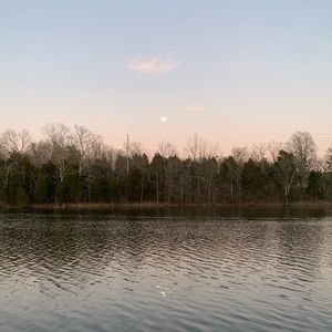 Meet your Posher, Izzy